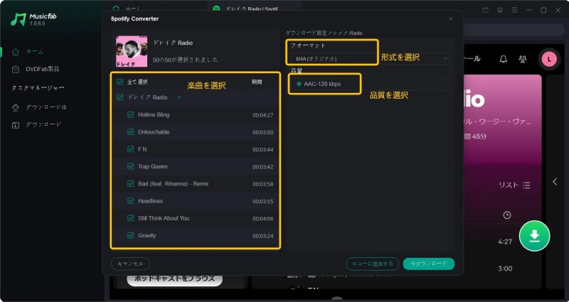 MusicFabの出力設定画面