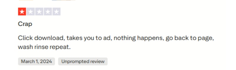 否定的なレビュー